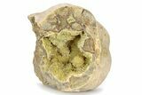 Yellow Crystal Filled Septarian Geode - Utah #251073-1